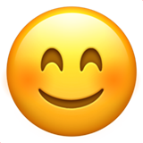 smiling_ico